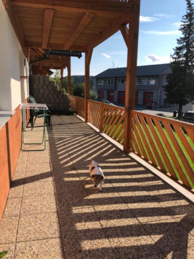 Apartmány Eva Frymburk Esterno foto